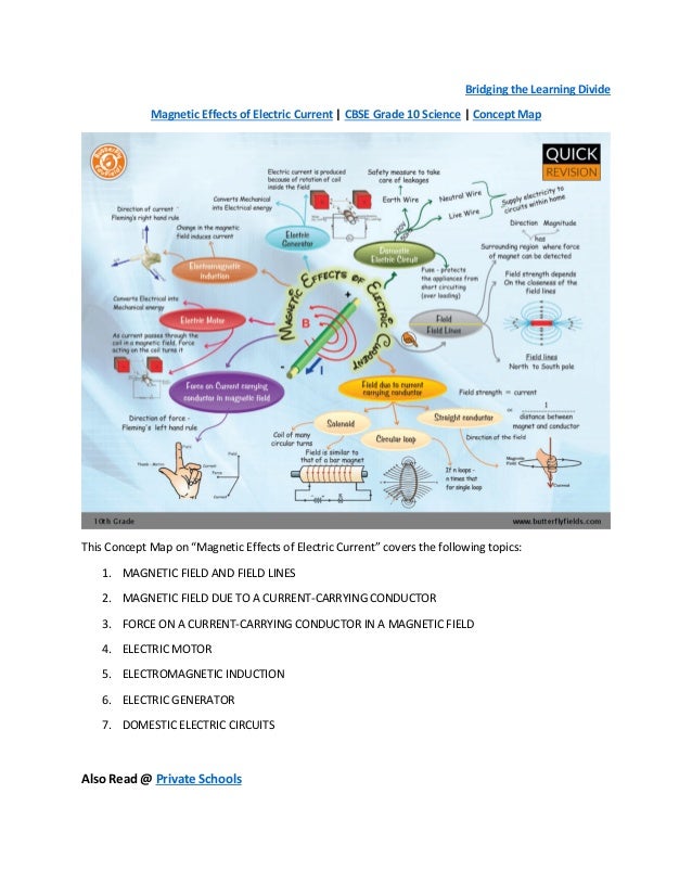 Butterfly Fields Concept Maps Pdf